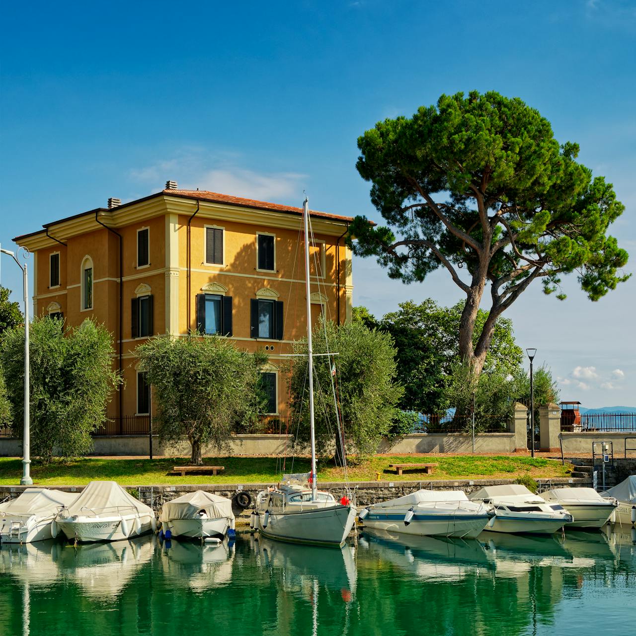 pexels cannontaler 10005658